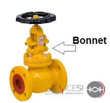 bonnet